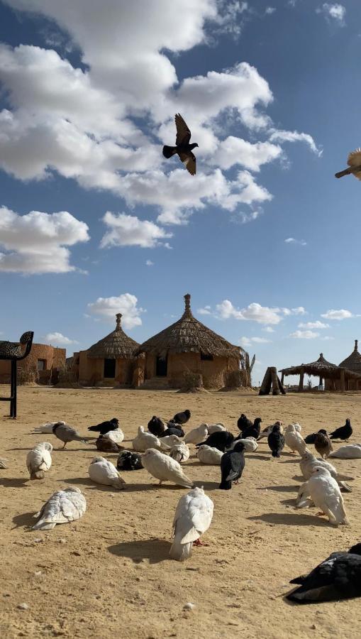 Taghaghien Island Resort Siwa Oasis Eksteriør billede